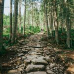 Discover a rocky forest hiking trail in the scenic Tatras of Poland. Ideal for nature enthusiasts.