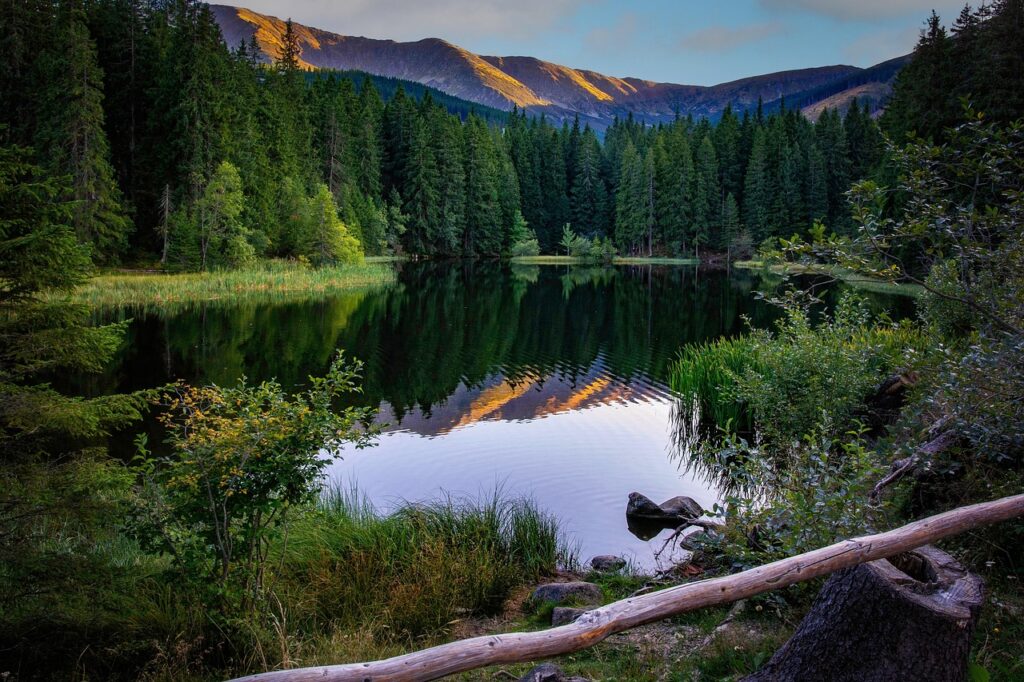 mountains, lake, woods, forest, hiking, nature, landscape, low tatras, slovakia